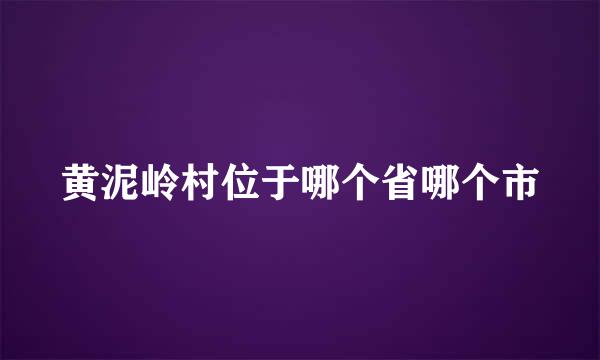 黄泥岭村位于哪个省哪个市