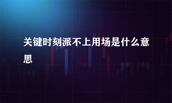 关键时刻派不上用场是什么意思