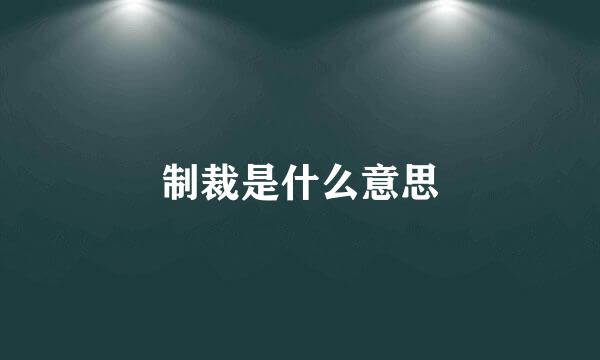 制裁是什么意思