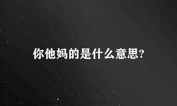 你他妈的是什么意思?