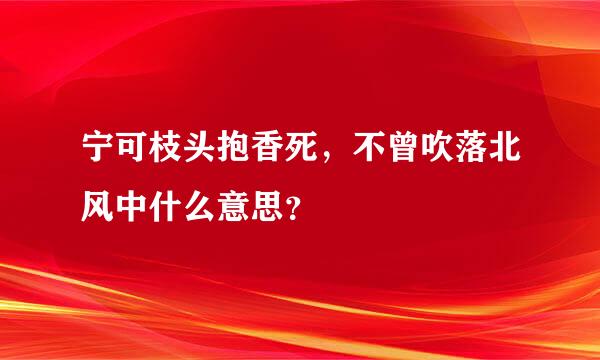 宁可枝头抱香死，不曾吹落北风中什么意思？