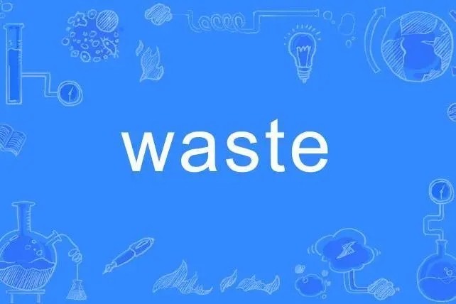 waste用法