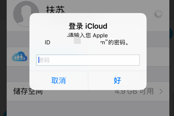 设置AppleID密码时，密码有什么要求？