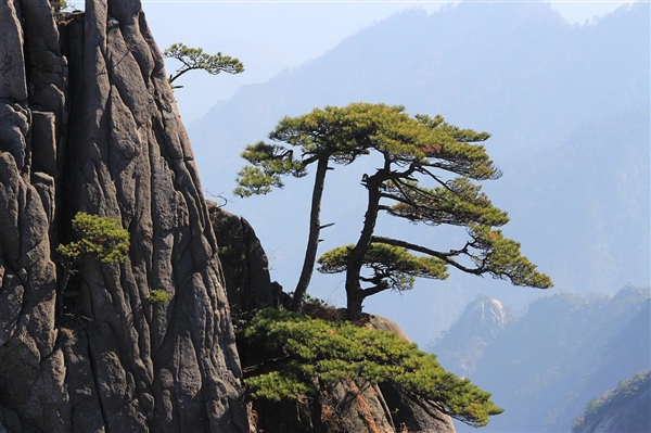 假期的黄山空荡荡，旅游行业遇到滑铁卢，导游者们该如何破局？