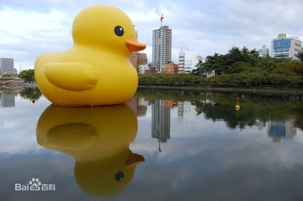 黄鸭是什么意思？