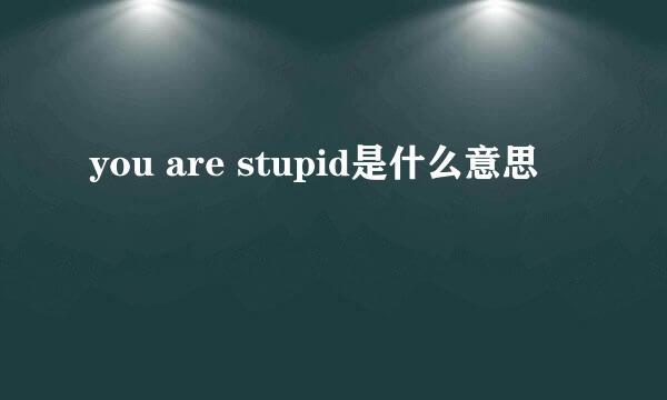 you are stupid是什么意思