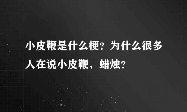 小皮鞭是什么梗？为什么很多人在说小皮鞭，蜡烛？