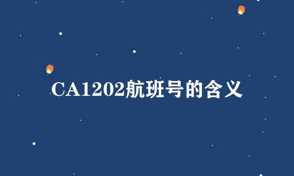 CA1202航班号的含义