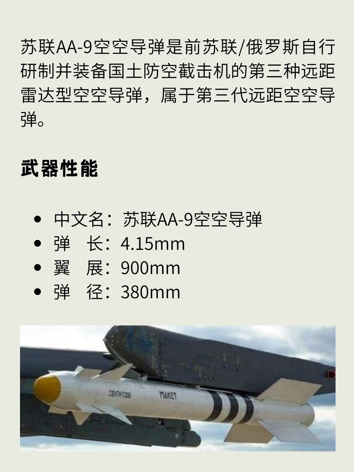 苏联AA-9空空导弹