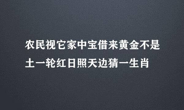 农民视它家中宝借来黄金不是土一轮红日照天边猜一生肖