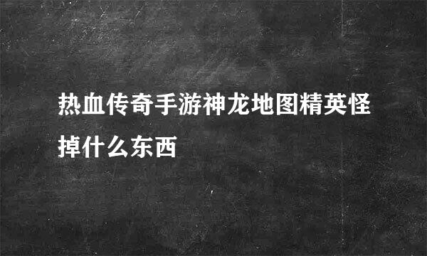 热血传奇手游神龙地图精英怪掉什么东西