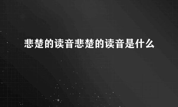 悲楚的读音悲楚的读音是什么