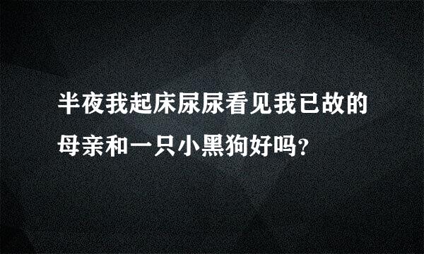 半夜我起床尿尿看见我已故的母亲和一只小黑狗好吗？