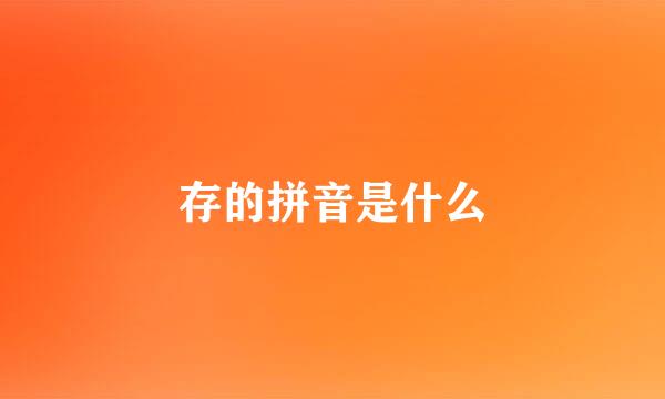 存的拼音是什么