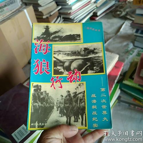 跪求《海狼行动—第二次世界大战潜艇主战纪实 》PDF格式网盘资源