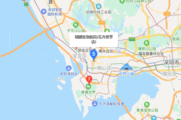 深圳最大的宠物市场在哪里？