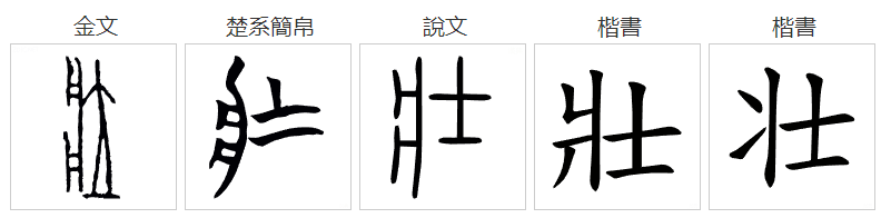 壮的偏旁叫什么名字？