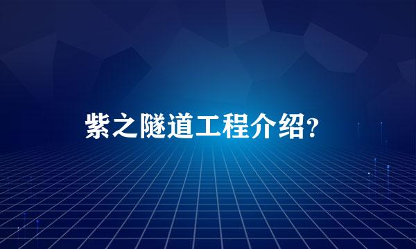 紫之隧道工程介绍？