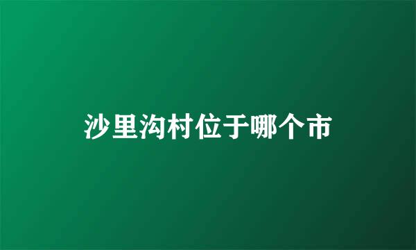 沙里沟村位于哪个市