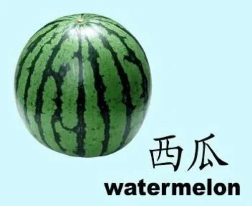 watermelon是什么意思？