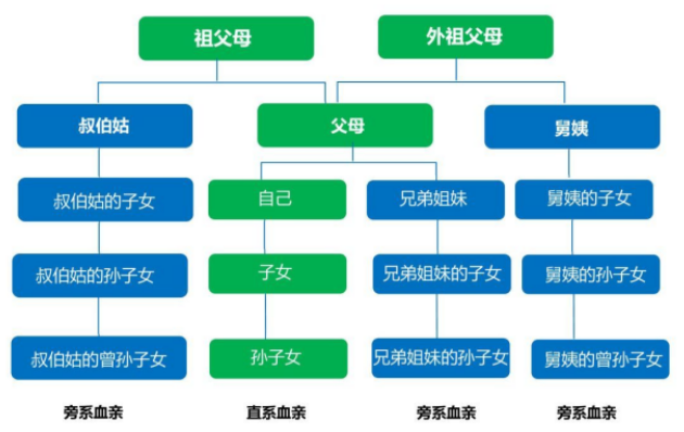 舅舅的老婆叫什么