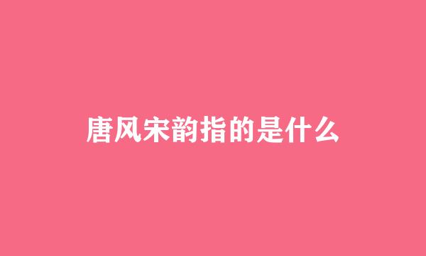 唐风宋韵指的是什么