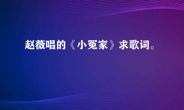 赵薇唱的《小冤家》求歌词。