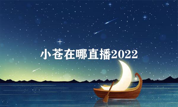 小苍在哪直播2022