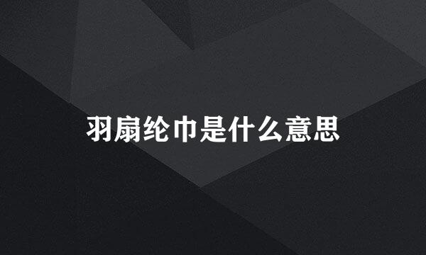 羽扇纶巾是什么意思