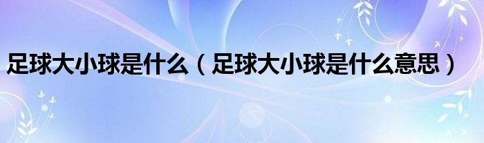 足球的大小球是什么意思啊？