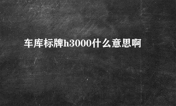 车库标牌h3000什么意思啊