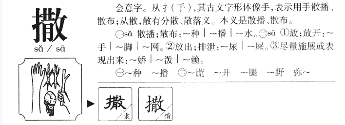 撒字怎么读？