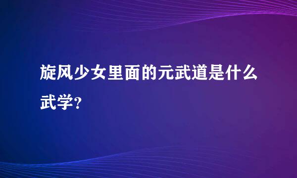 旋风少女里面的元武道是什么武学？