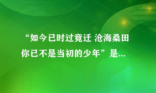 “如今已时过竟迁 沧海桑田 你已不是当初的少年”是哪首歌的歌词?