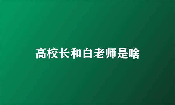 高校长和白老师是啥