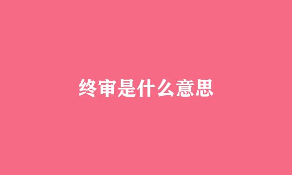 终审是什么意思