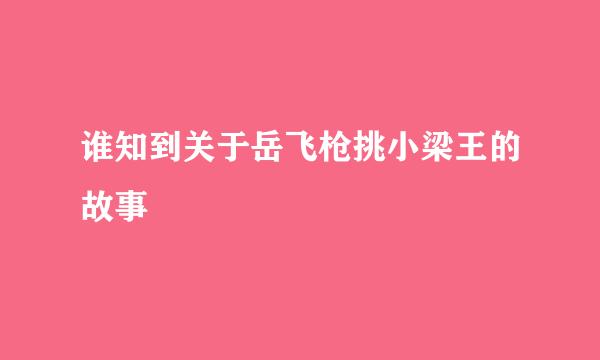 谁知到关于岳飞枪挑小梁王的故事