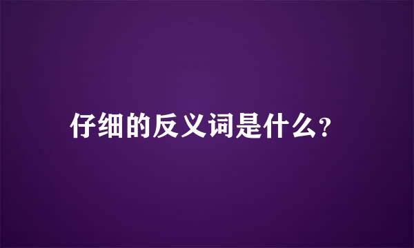 仔细的反义词是什么？