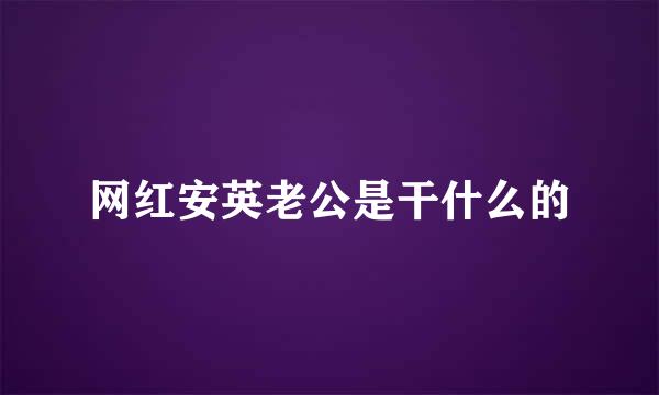 网红安英老公是干什么的