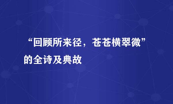 “回顾所来径，苍苍横翠微”的全诗及典故