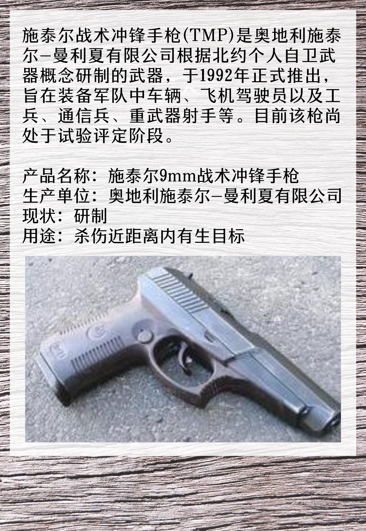 施泰尔战术冲锋手枪(TMP)