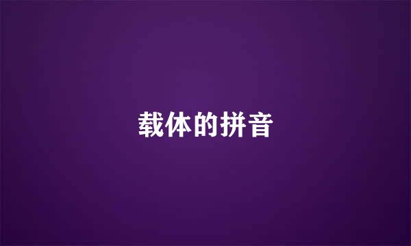 载体的拼音