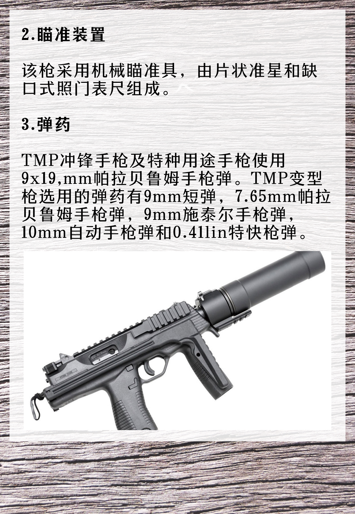 施泰尔战术冲锋手枪(TMP)