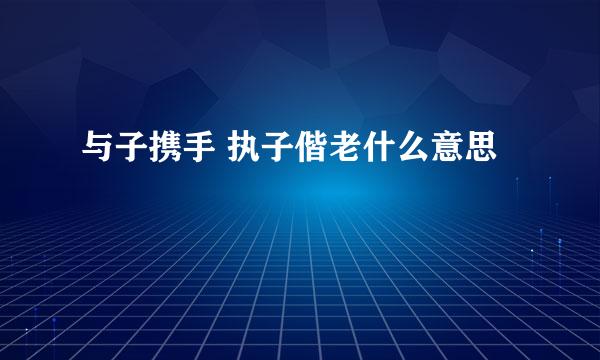 与子携手 执子偕老什么意思