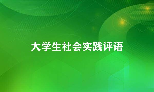 大学生社会实践评语