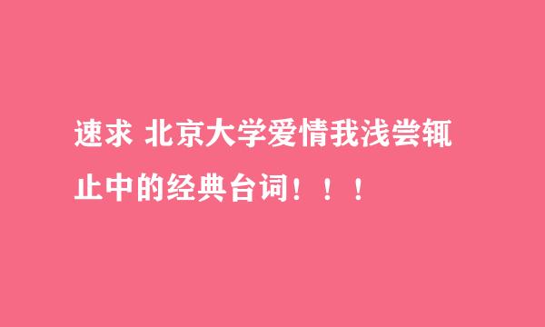 速求 北京大学爱情我浅尝辄止中的经典台词！！！