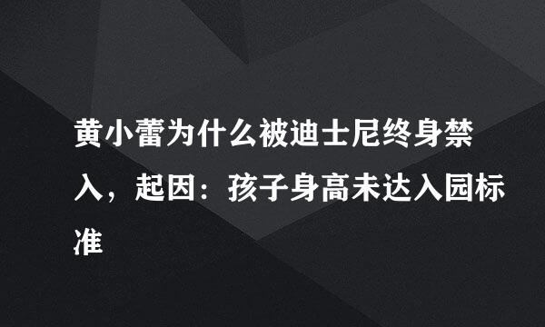 黄小蕾为什么被迪士尼终身禁入，起因：孩子身高未达入园标准