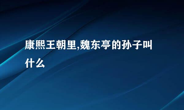 康熙王朝里,魏东亭的孙子叫什么