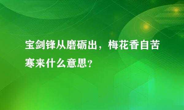 宝剑锋从磨砺出，梅花香自苦寒来什么意思？