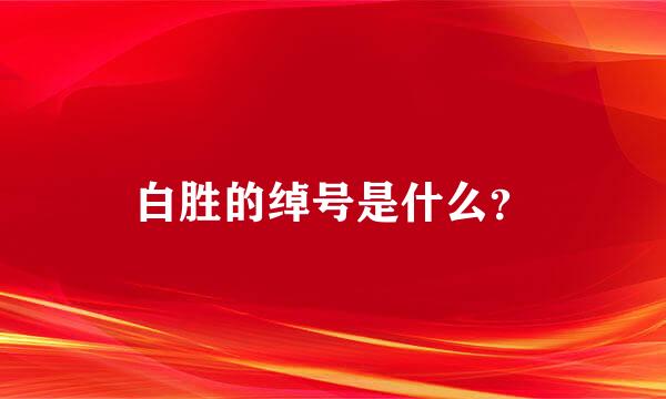 白胜的绰号是什么？